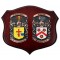 Handpainted Double Family Crest Shield (Large 18"x15")